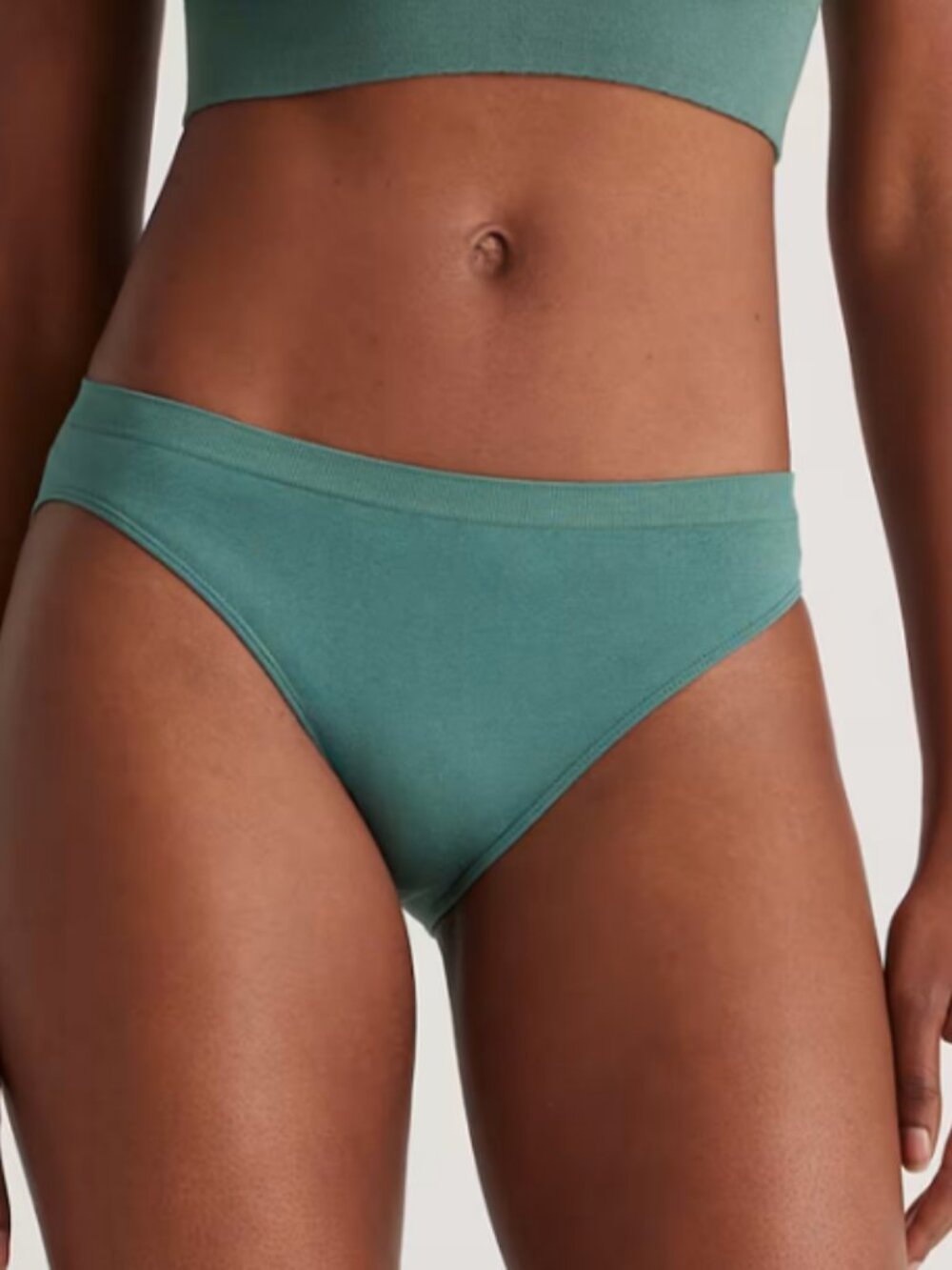Quince SALE Smoothing Comfort Bikini (6-Pack) Rosemary L NEW